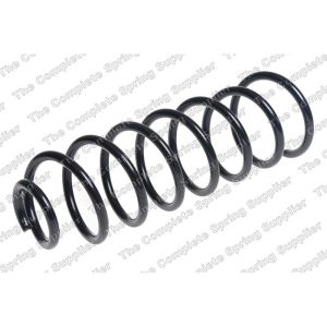 Coil Spring - Rear