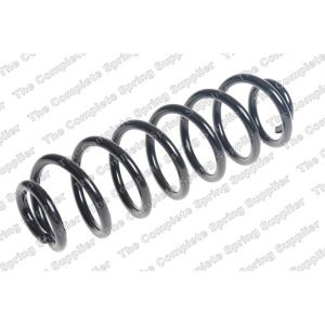 Coil Spring - Rear