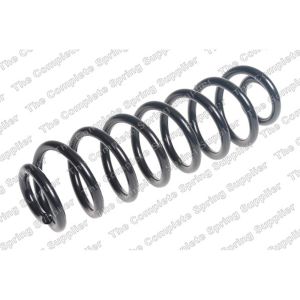 Coil Spring - Rear