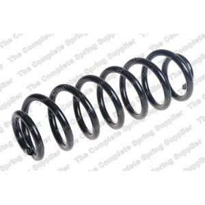 Coil Spring - Rear