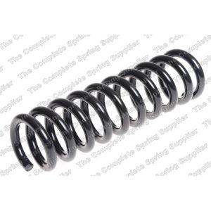 Coil Spring - Rear