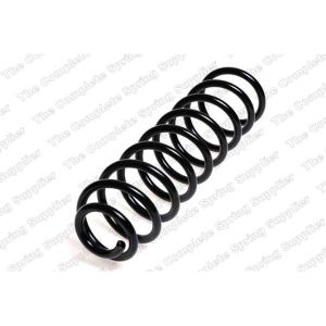 Coil Spring - Rear