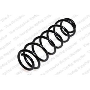 Coil Spring - Rear