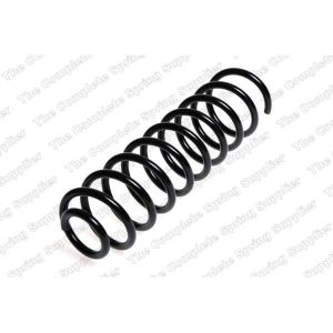 Coil Spring - Rear