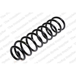 Coil Spring - Rear