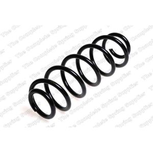 Coil Spring - Rear