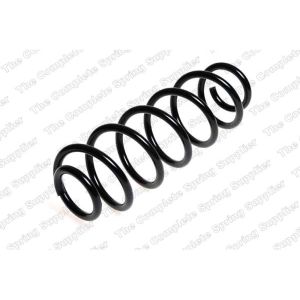 Coil Spring - Rear