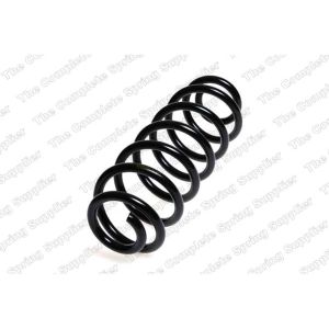 Coil Spring - Rear