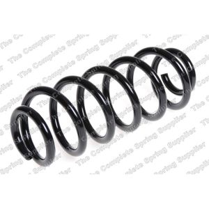 Coil Spring - Rear