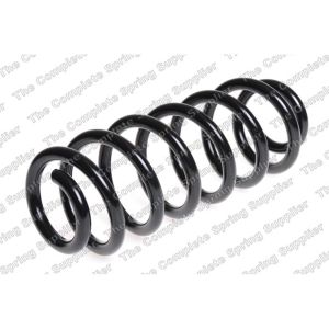 Coil Spring - Rear