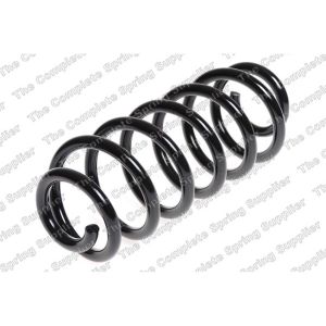 Coil Spring - Rear