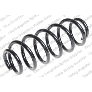 Coil Spring - Rear