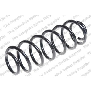 Coil Spring - Rear