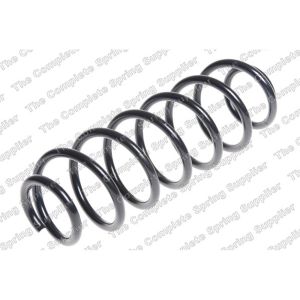 Coil Spring - Rear