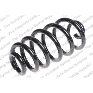 Coil Spring - Rear