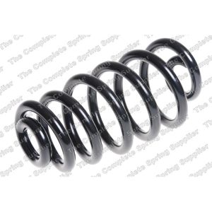 Coil Spring - Rear