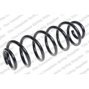 Coil Spring - Rear