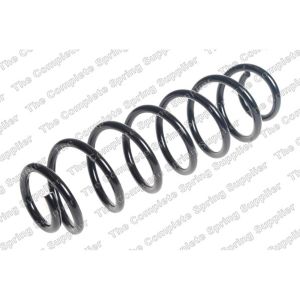 Coil Spring - Rear