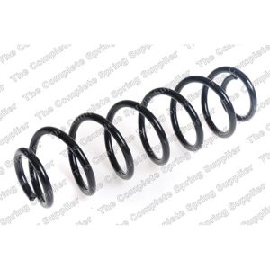 Coil Spring - Rear