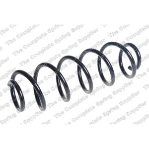 Coil Spring - Rear