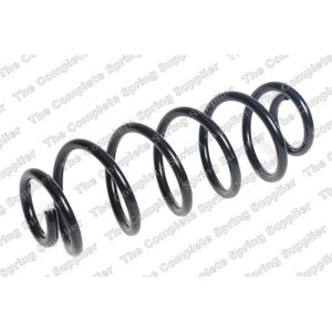 Coil Spring - Rear