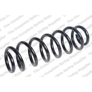 Coil Spring - Rear