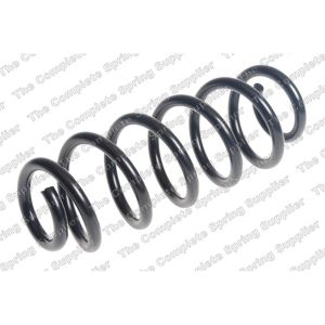 Coil Spring - Rear