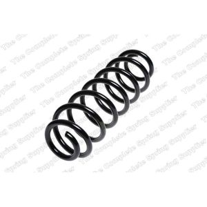 Coil Spring - Rear