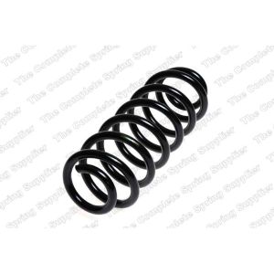 Coil Spring - Rear