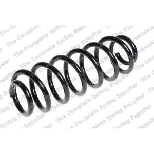 Coil Spring - Rear