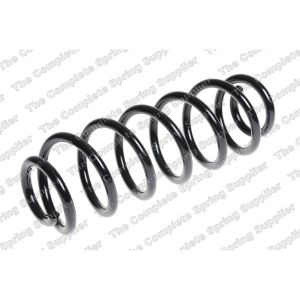 Coil Spring - Rear