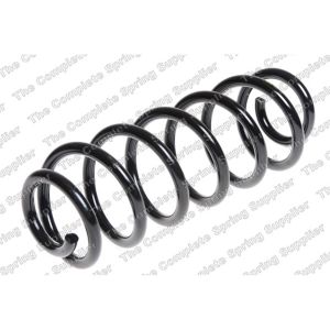 Coil Spring - Rear