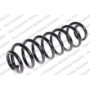 Coil Spring - Rear