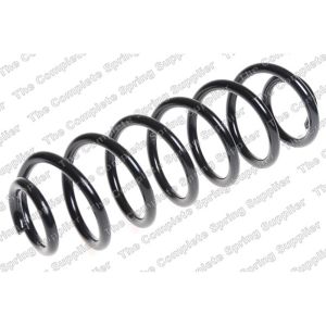 Coil Spring - Rear