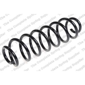 Coil Spring - Rear