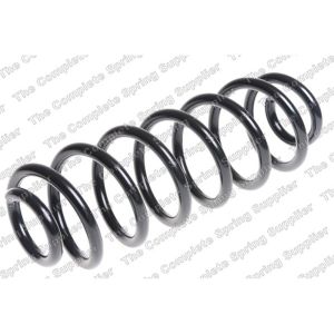 Coil Spring - Rear