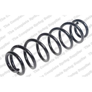 Coil Spring - Rear