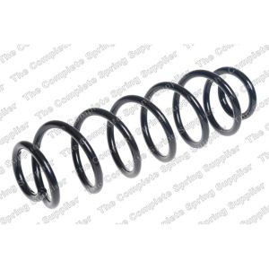 Coil Spring - Rear