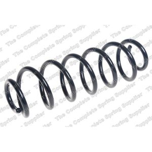 Coil Spring - Rear