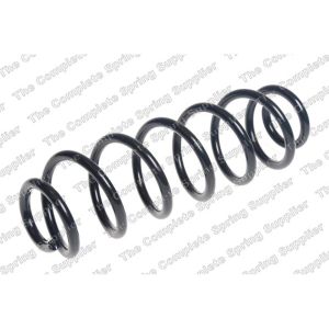 Coil Spring - Rear