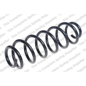 Coil Spring - Rear