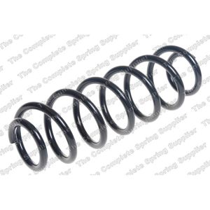 Coil Spring - Rear