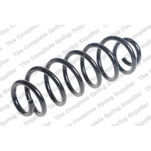 Coil Spring - Rear