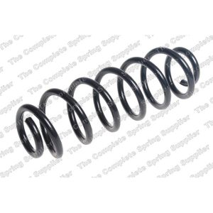 Coil Spring - Rear