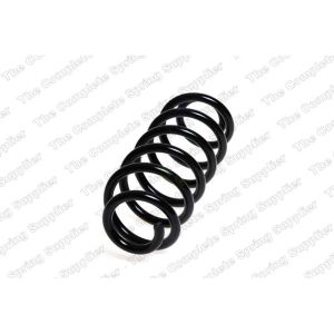 Coil Spring - Rear