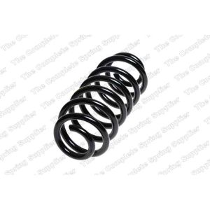 Coil Spring - Rear