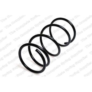 Coil Spring - Rear