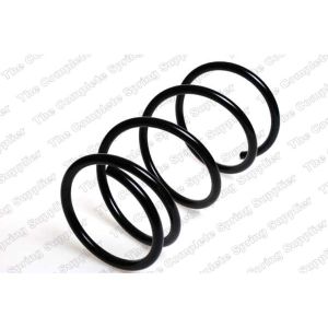 Coil Spring - Rear