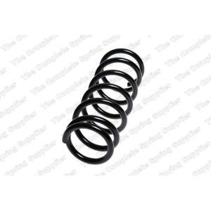 Coil Spring - Rear