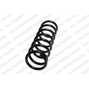 Coil Spring - Rear